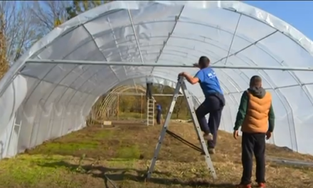ПЛАСТЕНИЦИ ЗА ЋУПРИЈСКЕ ПОЉОПРИВРЕДНИКЕ