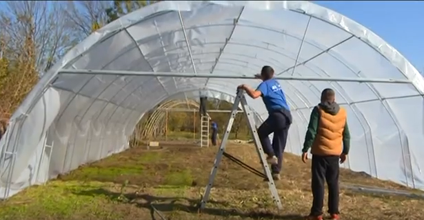 ПЛАСТЕНИЦИ ЗА ЋУПРИЈСКЕ ПОЉОПРИВРЕДНИКЕ