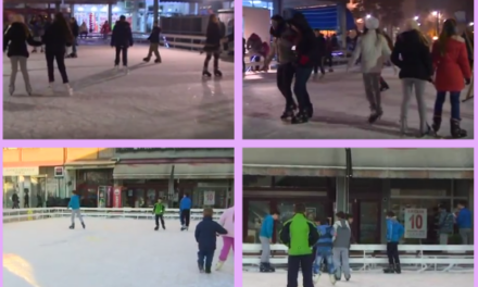 Журка на леду