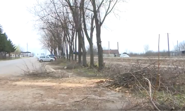 Почело је сређивање градског зеленила