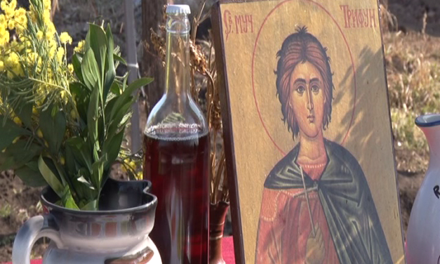 Обележавање Светог Трифуна на Везировом брду