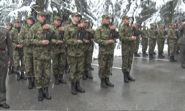 Обележен Дан војске на „Пасуљанским ливадама“