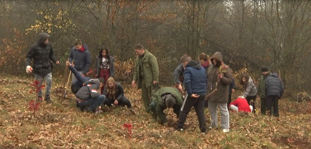 „Вуковци“ пошумљавали Сисевац