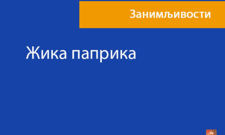 Жика паприка