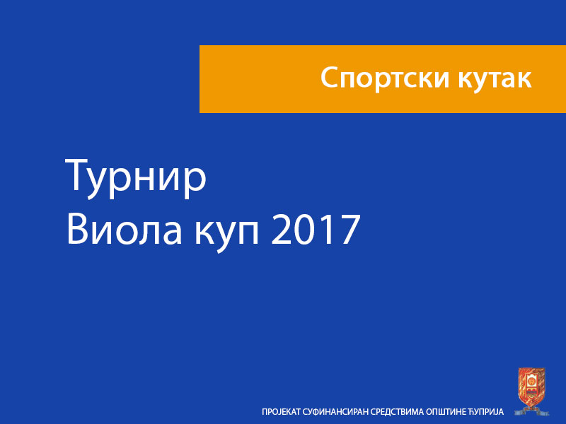 Турнир Виола куп 2017