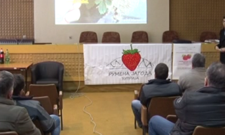 Органска производња је будућност