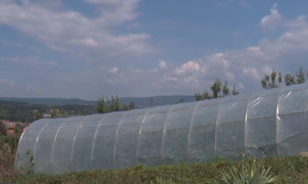 Измењен Правилник о подстицајима за пољопривредна газдинства