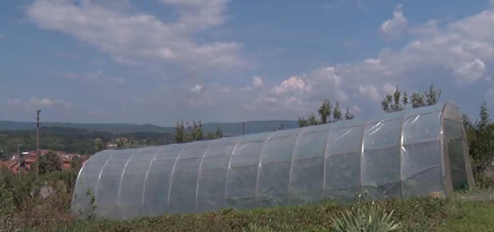 Измењен Правилник о подстицајима за пољопривредна газдинства