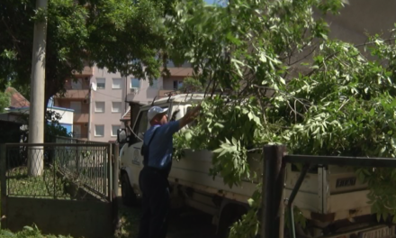 КАРАЂОРЂЕВА 39 ДОБИЛА РАСВЕТУ