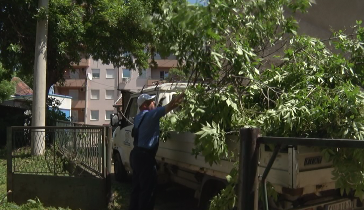 КАРАЂОРЂЕВА 39 ДОБИЛА РАСВЕТУ