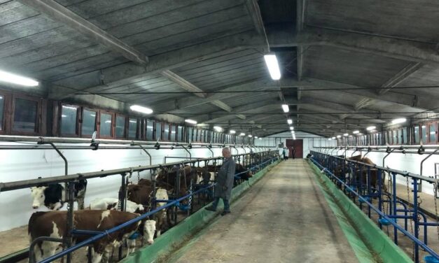 СТИГАО ПРВИ КОНТИНГЕНТ ЈУНАДИ У ДОБРИЧЕВО