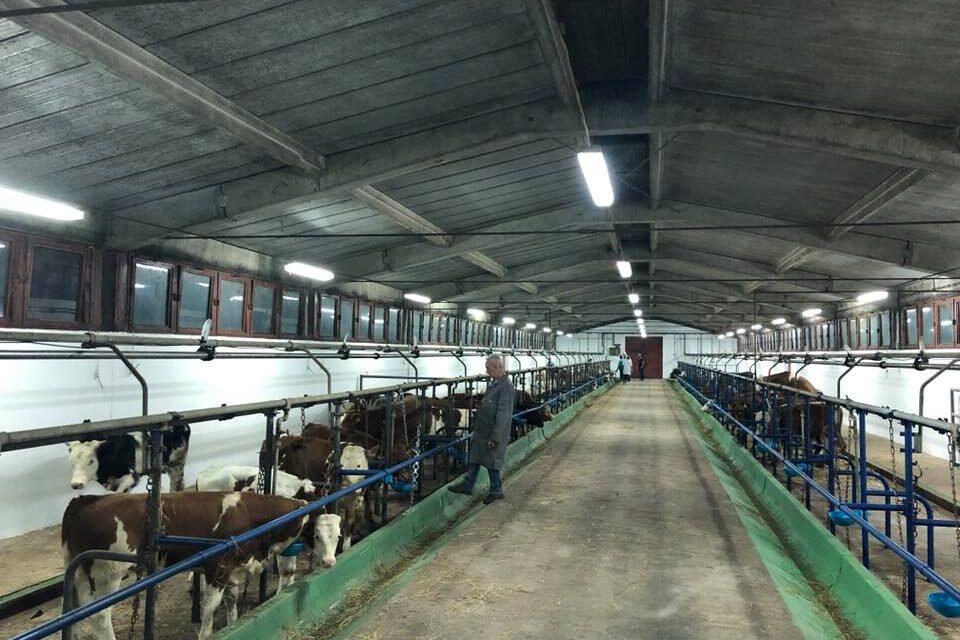 СТИГАО ПРВИ КОНТИНГЕНТ ЈУНАДИ У ДОБРИЧЕВО