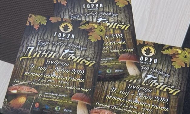 МАНИФЕСТАЦИЈА „ДАНИ ГЉИВА“ 2019