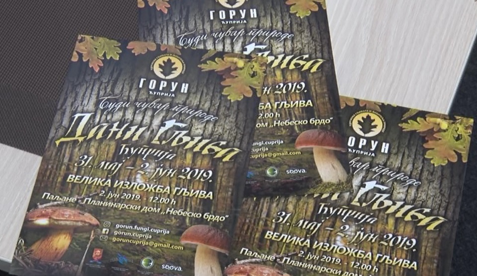 МАНИФЕСТАЦИЈА „ДАНИ ГЉИВА“ 2019