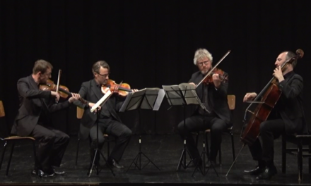 ФАНТАСТИЧНИ „ВАН ДЕР ПАЛС“