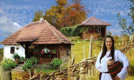 ТРИБИНА О РАЗВОЈУ СЕОСКОГ ТУРИЗМА