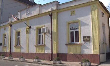 ЛЕТЊЕ РАДИОНИЦЕ У БИБЛИОТЕЦИ „ДУШАН МАТИЋ“