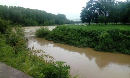 ЕРИЋ: УЛАЖЕМО МИЛИОН ЕВРА У РЕГУЛАЦИЈУ БУЈИЧНИХ ПОТОКА