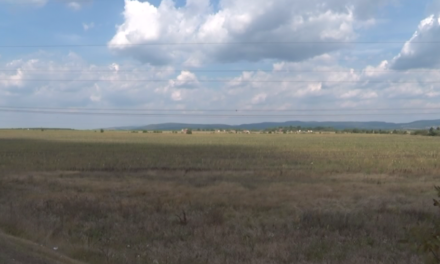 ПООШТРЕНЕ КАЗНЕ ЗА ПАЉЕЊЕ СТРЊИКЕ