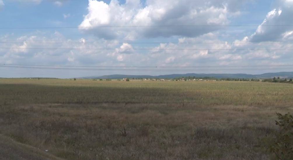 ПООШТРЕНЕ КАЗНЕ ЗА ПАЉЕЊЕ СТРЊИКЕ