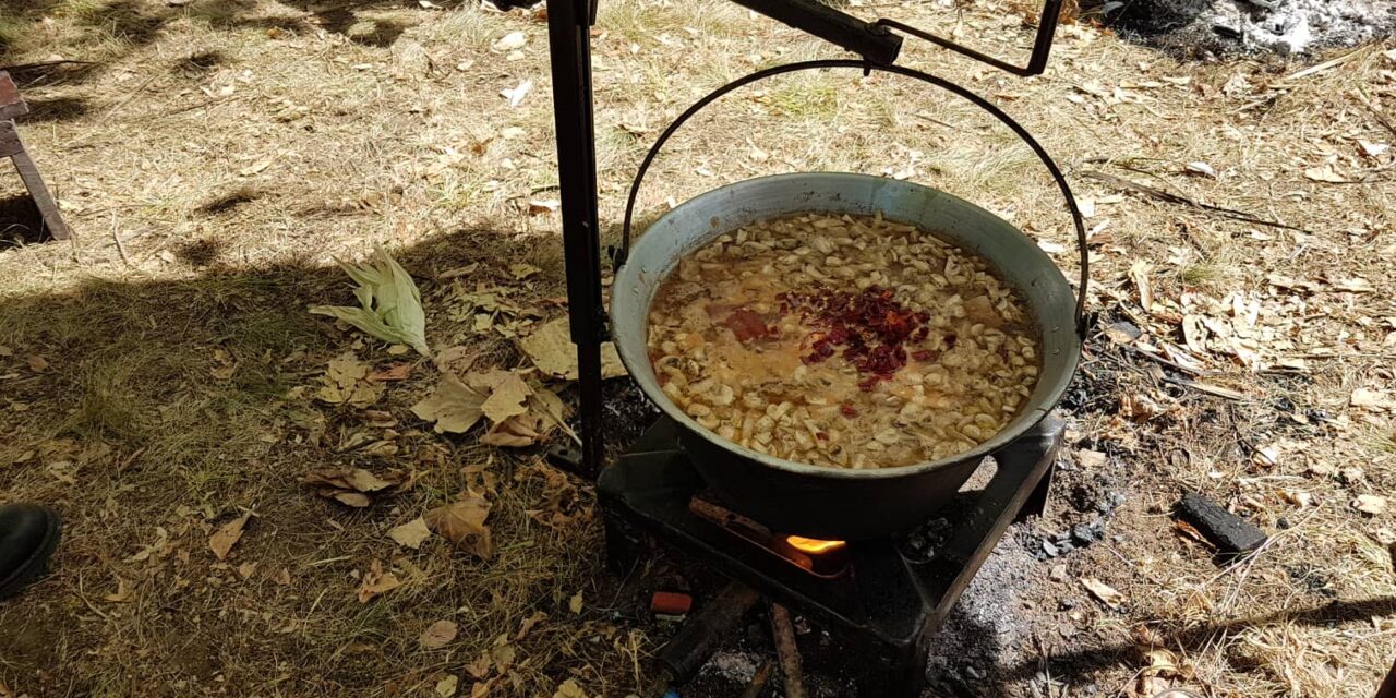 ГУРМАНИ УЖИВАЛИ У ГУЛАШУ СПРЕМЉЕНОМ ОД ДИВЉАЧИ