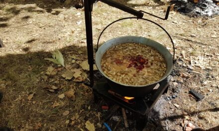 ГУРМАНИ УЖИВАЛИ У ГУЛАШУ СПРЕМЉЕНОМ ОД ДИВЉАЧИ