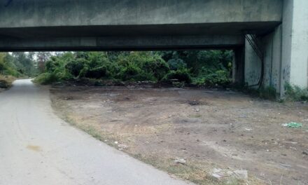 ПОЧЕЛО ЧИШЋЕЊЕ ДИВЉИХ ДЕПОНИЈА