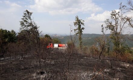 ГОРЕ СЕЊСКИ РУДНИК И БИГРЕНИЦА