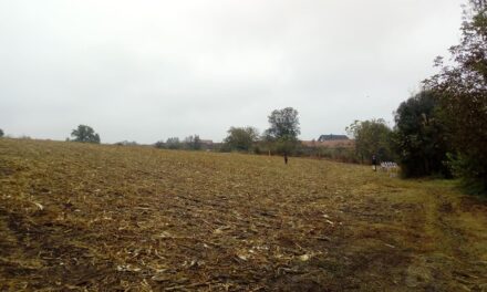 КРЕДИТИ ЗА КУПОВИНУ ПОЉОПРИВРЕДНОГ ЗЕМЉИШТА