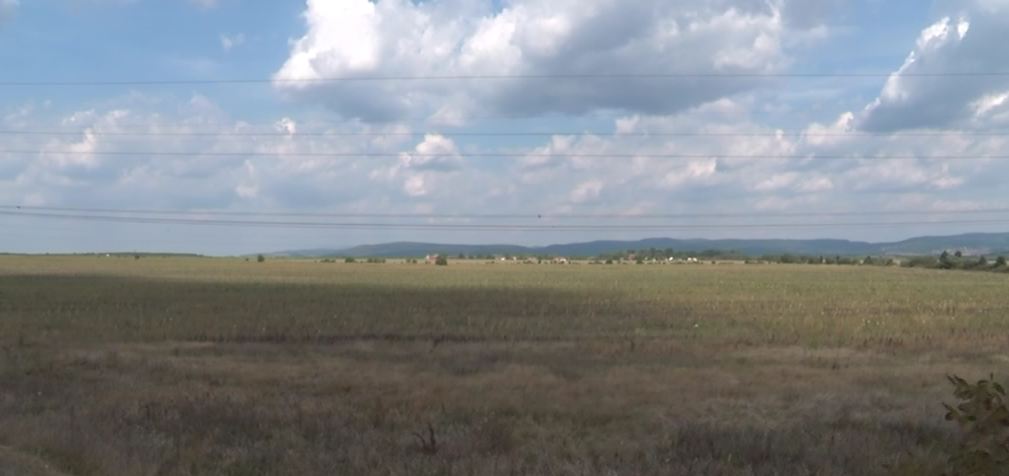 КАЗНЕ ДО МИЛИОН ДИНАРА ЗА ПАЉЕЊЕ БИЉНИХ ОСТАТАКА