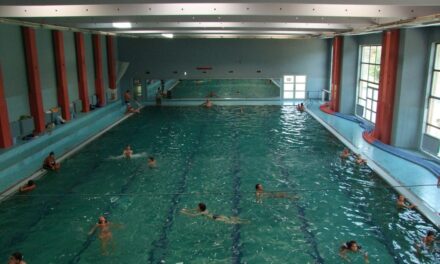 ЧЕТИРИ МЕДАЉЕ МЛАДИХ ПЛИВАЧА НА ОКРУЖНОМ ТАКМИЧЕЊУ