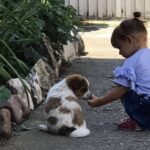 ЋУПРИЈА ДОБИЛА УДРУЖЕЊЕ ЗА ЗАШТИТУ ЖИВОТИЊА