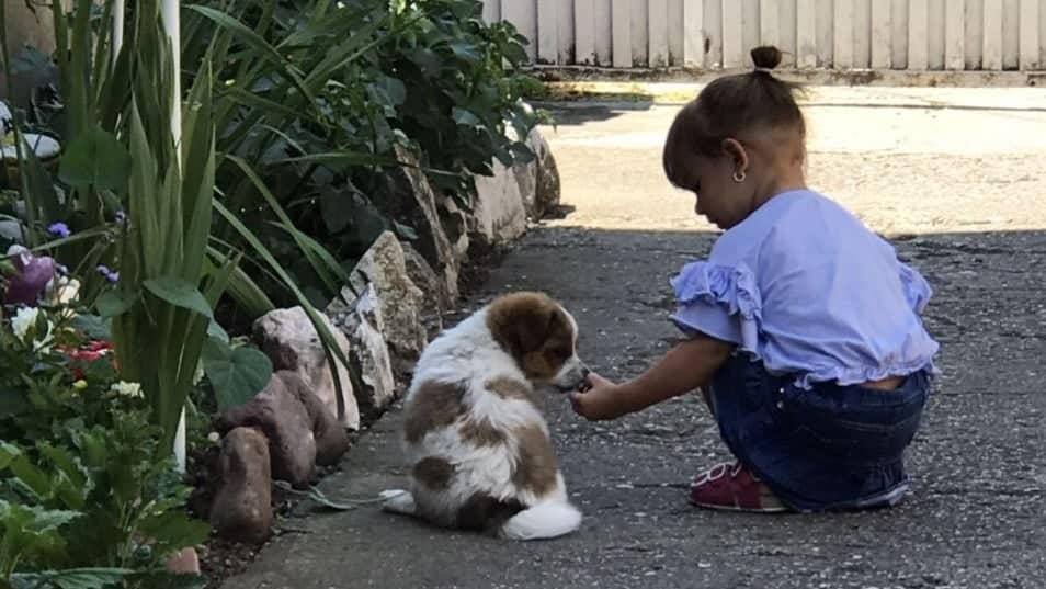 ЋУПРИЈА ДОБИЛА УДРУЖЕЊЕ ЗА ЗАШТИТУ ЖИВОТИЊА