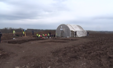 НАСЕЉА ВИНЧАНСКЕ КУЛТУРЕ НА „КРАЉЕВОМ ПОЉУ“