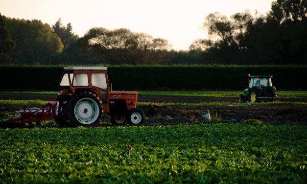 САВЕТИ ПОЉОПРИВРЕДНИЦИМА И ТОКОМ ВАНРЕДНОГ СТАЊА