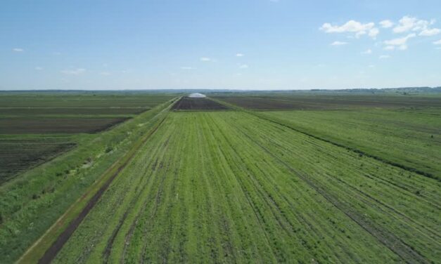 ПОЧЕЛА ПРИЈАВА ЗА ОСТВАРИВАЊЕ ПРАВА НА ОСНОВНЕ ПОДСТИЦАЈЕ У ПОЉОПРИВРЕДИ