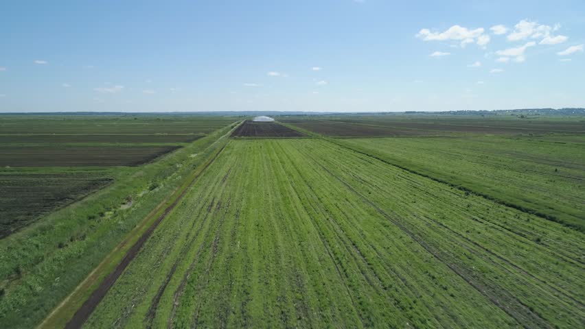 ПРОДАЈА СВЕЖЕГ ВОЋА И ПОВРЋА У ВАНРЕДНОМ СТАЊУ