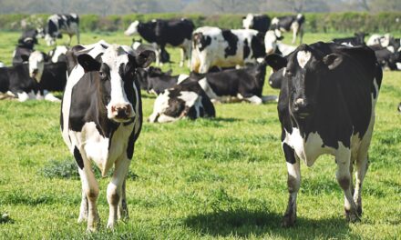 ДОЗВОЛА КРЕТАЊА ЗА СТОЧАРЕ И ПЧЕЛАРЕ