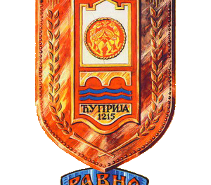 ОДРЖАНА 49 .СЕДНИЦА ОПШТИНСКОГ ВЕЋА