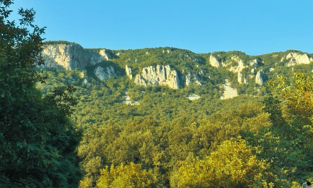 ПРИКЉУЧИТЕ СЕ ДАНУ ПЕШАЧЕЊА „ЗА КОРАК БЛИЖЕ ЗДРАВЉУ“