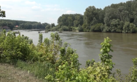 СПАСИО ЖИВОТ САМОУБИЦИ: ХУМАНИ ГЕСТ МОМКА ИЗ ЋУПРИЈЕ