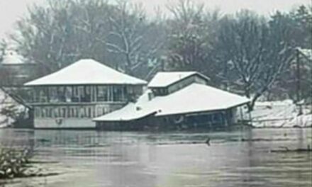 ТОНЕ СПЛАВ „БЕЛА ЛАЂА“