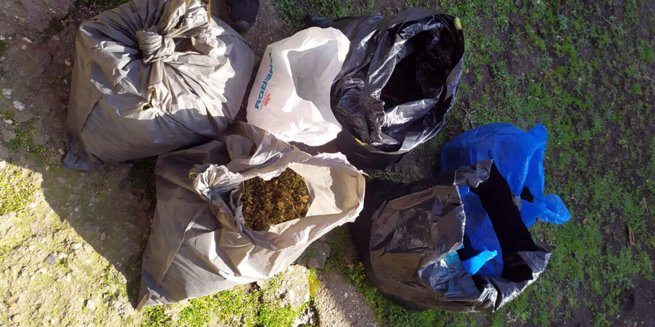 ВЕЛИКА ЗАПЛЕНА НАРКОТИКА У ЋУПРИЈИ