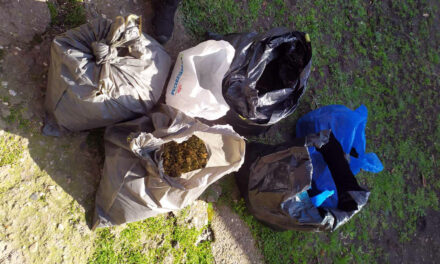 ВЕЛИКА ЗАПЛЕНА НАРКОТИКА У ЋУПРИЈИ