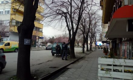 ПОЧЕЛИ ПРОЛЕЋНИ РАДОВИ НА ГРАДСКИМ ДРВОРЕДИМА