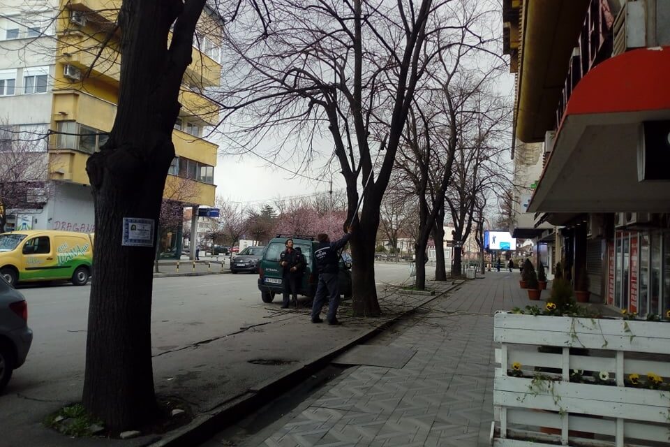 ПОЧЕЛИ ПРОЛЕЋНИ РАДОВИ НА ГРАДСКИМ ДРВОРЕДИМА