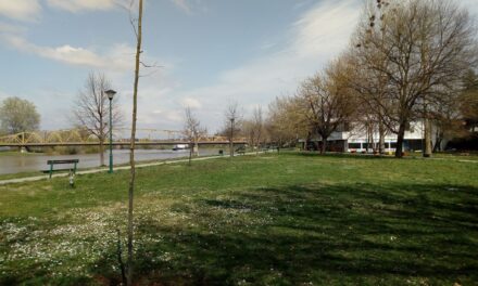 ПРЕКО 300 НОВИХ САДНИЦА ЗА ЛЕПШУ ЋУПРИЈУ