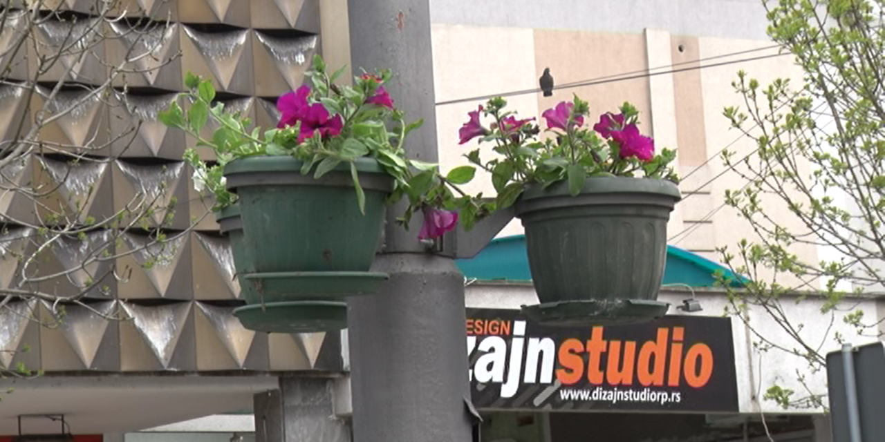 ПОЧЕЛА ПРОЛЕЋНА САДЊА ЦВЕТНИЦА У ГРАДУ