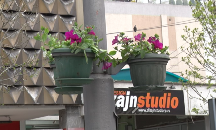 ПОЧЕЛА ПРОЛЕЋНА САДЊА ЦВЕТНИЦА У ГРАДУ