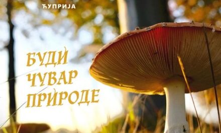 ТРАДИЦИОНАЛНА ИЗЛОЖБА ГЉИВА У НЕДЕЉУ У МОРАВСКОМ ПАРКУ